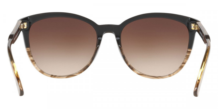 Color: Brown (556713) - Emporio Armani EA410155671356