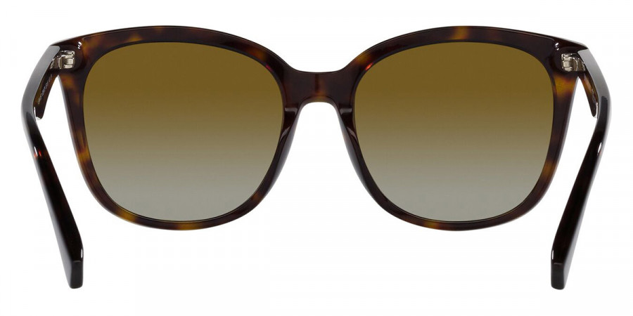 Color: Havana (5234T5) - Emporio Armani EA41575234T555