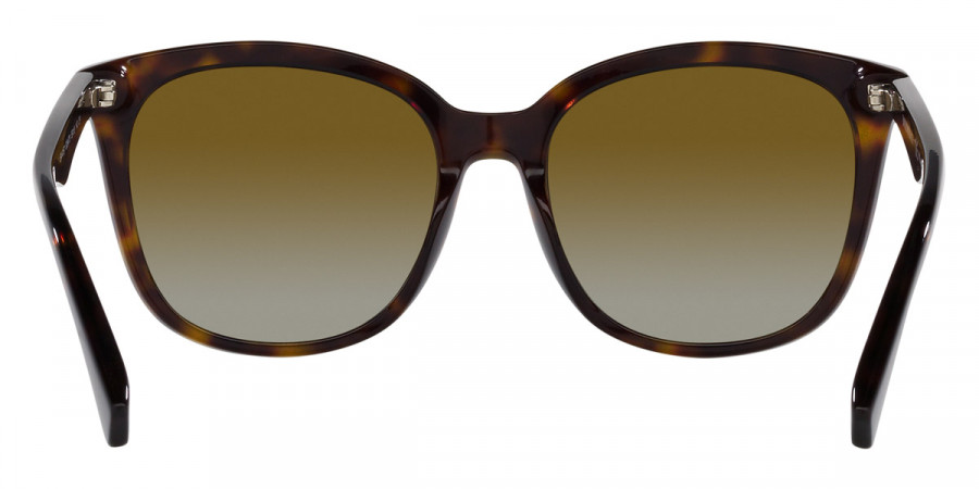 Color: Havana (5234T5) - Emporio Armani EA4157F5234T557