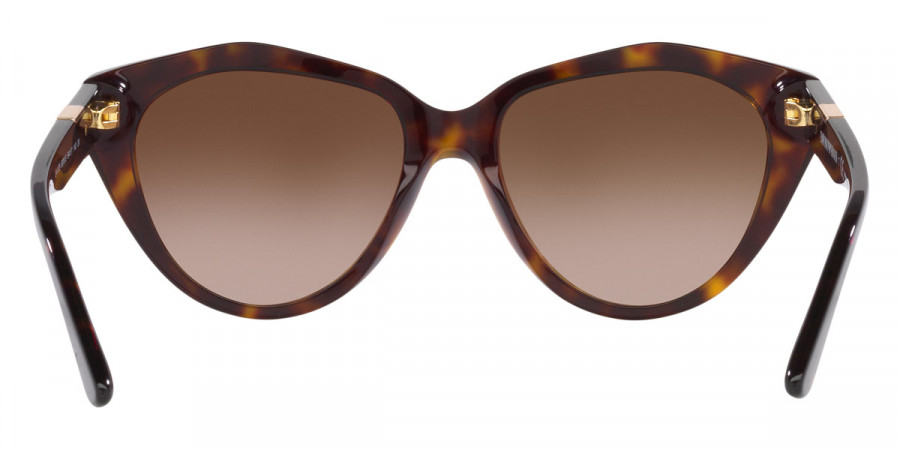 Color: Shiny Havana (587913) - Emporio Armani EA417858791354