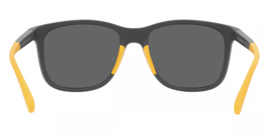 Color: Matte Gray (506087) - Emporio Armani EA418450608749