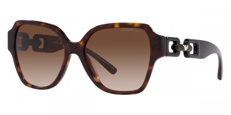 Color: Shiny Havana and Shiny Black (502613) - Emporio Armani EA4202F50261356