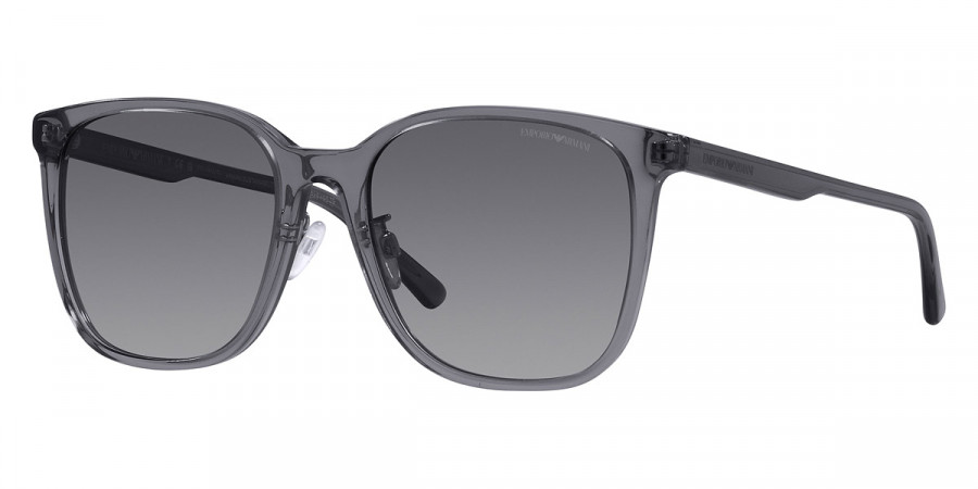 Color: Shiny Transparent Gray (5029T3) - Emporio Armani EA4206D5029T357