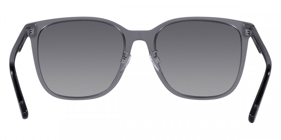 Color: Shiny Transparent Gray (5029T3) - Emporio Armani EA4206D5029T357