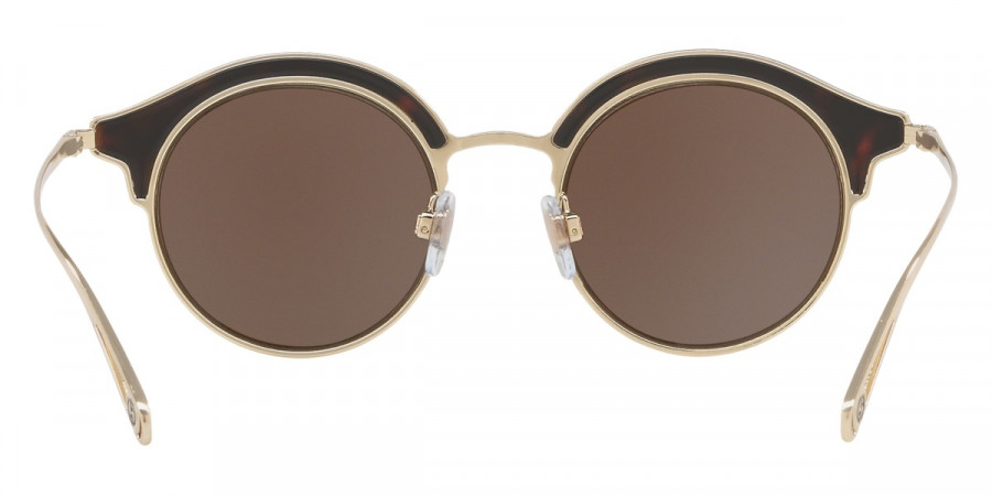 Color: Havana/Pale Gold (321573) - Giorgio Armani AR607132157346