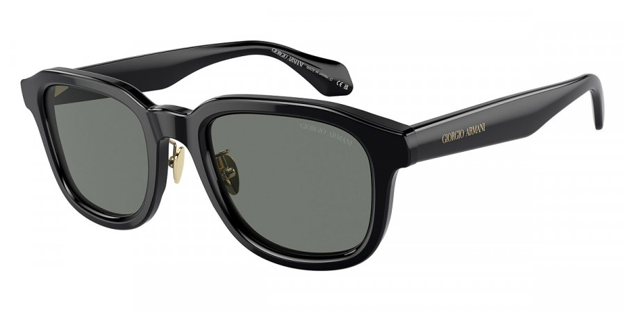 Giorgio Armani™ AR8206 6060/1 51 - Black