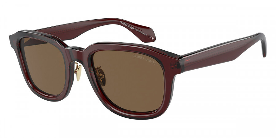 Giorgio Armani™ AR8206 606273 51 - Transparent Brown