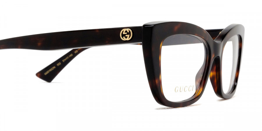 Color: Havana (002) - Gucci GG0165ON00251