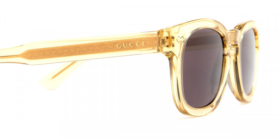 Color: Brown (006) - Gucci GG0182S00649