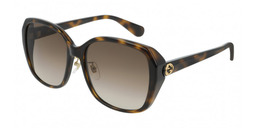 Color: Havana (002) - Gucci GG0371SK00257