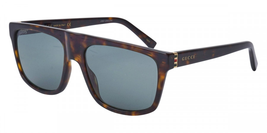 Color: Gold/Havana (002) - Gucci GG0450S00257