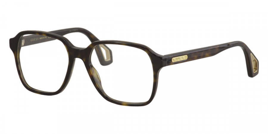 Color: Havana (002) - Gucci GG0469O00256