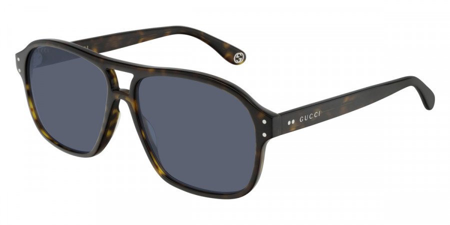 Color: Havana (002) - Gucci GG0475S00258