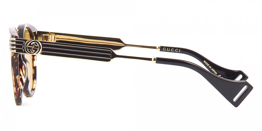 Color: Gold/Havana (003) - Gucci GG0586S00350