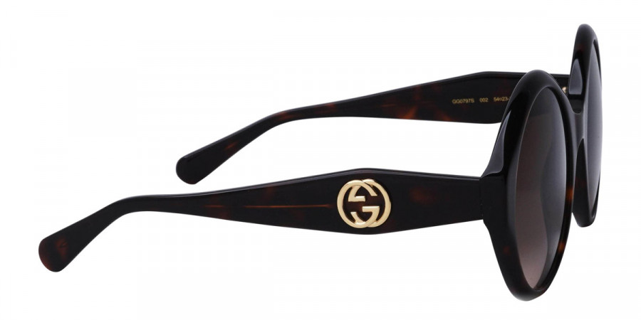 Color: Havana (002) - Gucci GG0797S00254