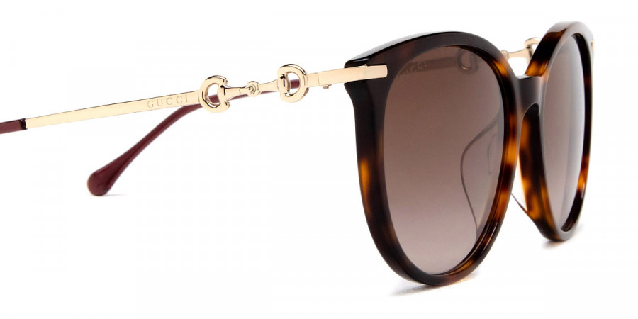 Color: Havana/Gold (002) - Gucci GG0885SA00256