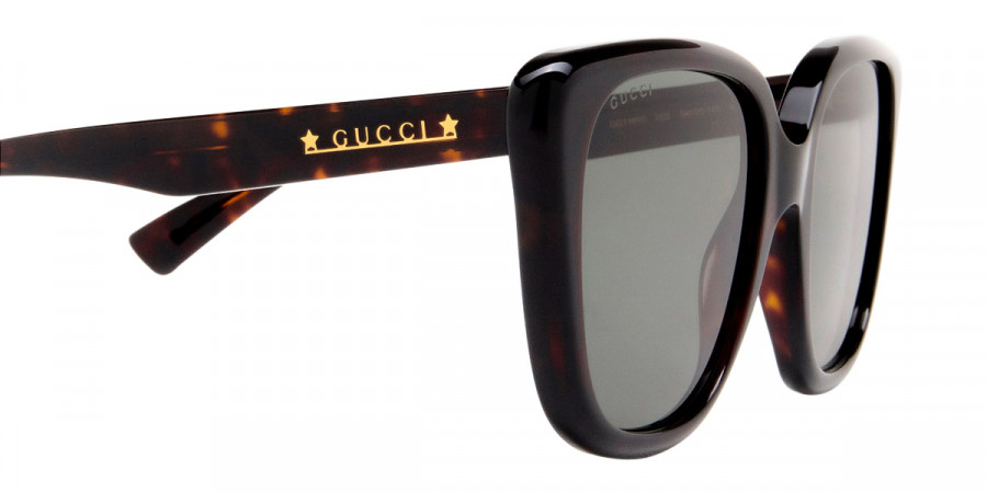 Color: Havana (003) - Gucci GG1169S00354