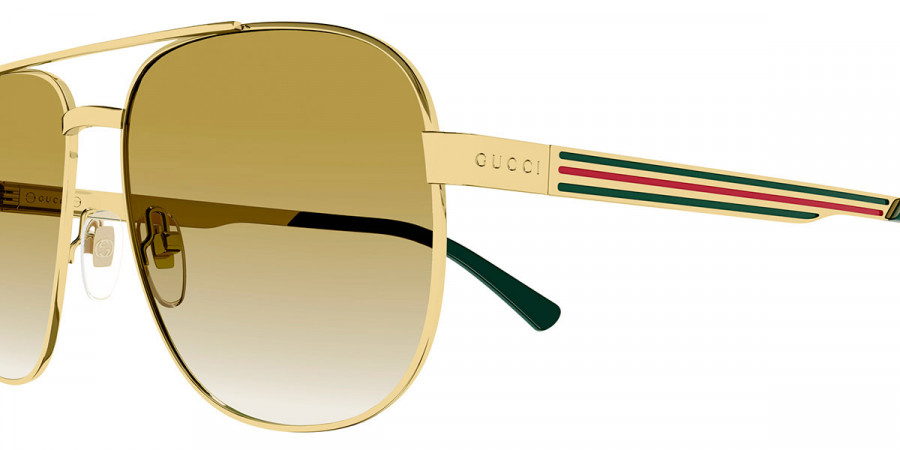 Gucci™ - GG1223S