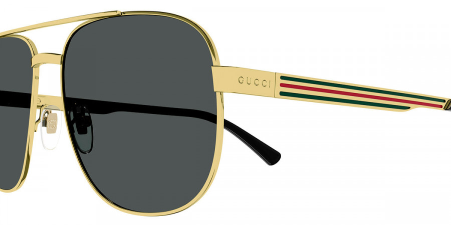 Gucci™ - GG1223S