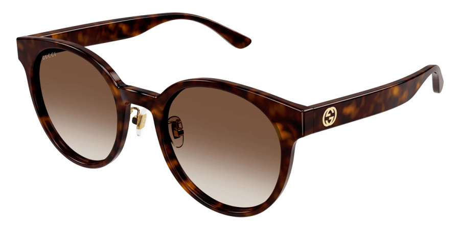 Color: Havana (003) - Gucci GG1339SK00354