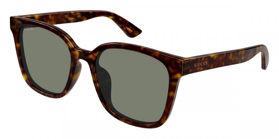 Color: Havana (003) - Gucci GG1346SK00356