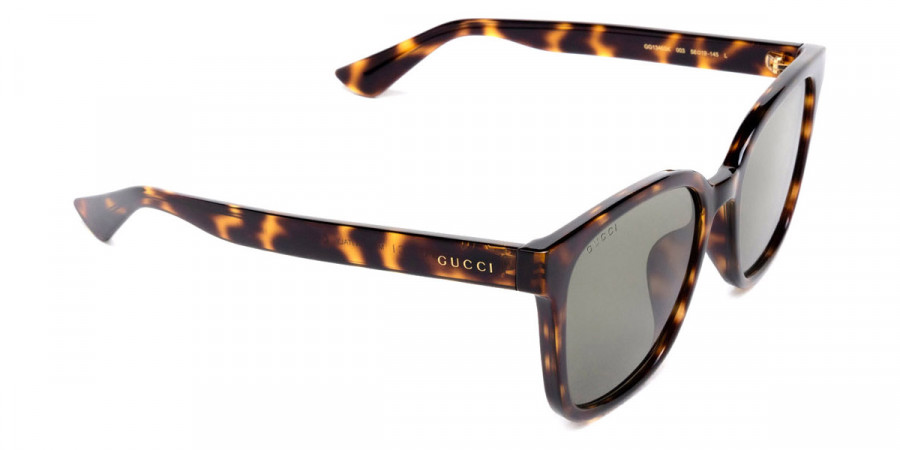 Color: Havana (003) - Gucci GG1346SK00356