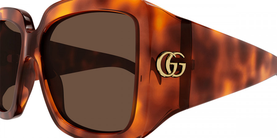 Color: Havana (002) - Gucci GG1402S00255