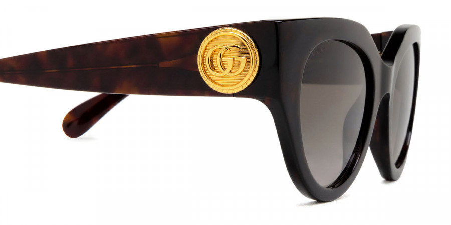 Color: Havana (003) - Gucci GG1408S00352