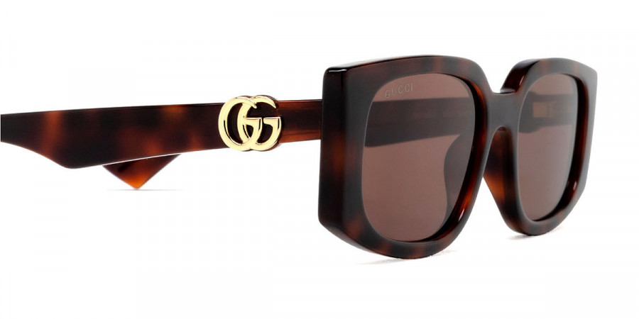 Color: Havana (002) - Gucci GG1534S00255