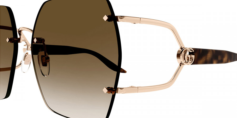 Color: Gold/Havana (002) - Gucci GG1562S00262