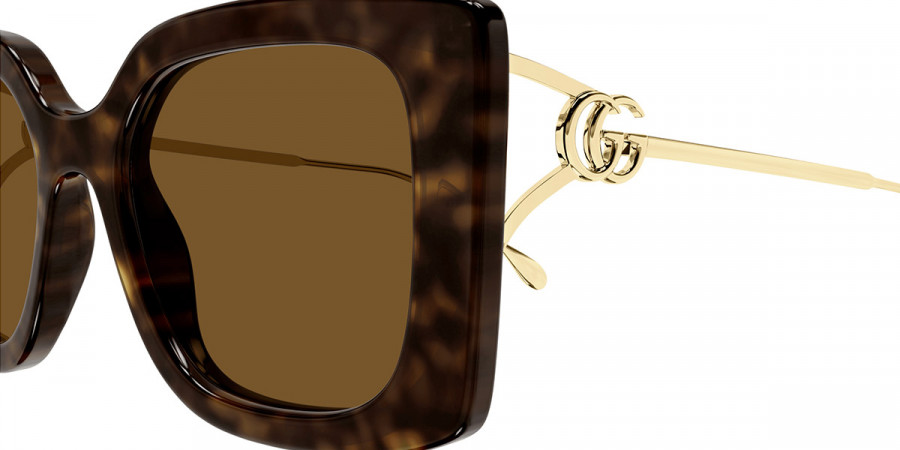 Color: Havana/Gold (002) - Gucci GG1567SA00254