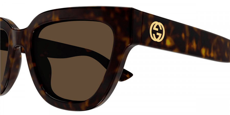 Color: Havana (002) - Gucci GG1578S00254