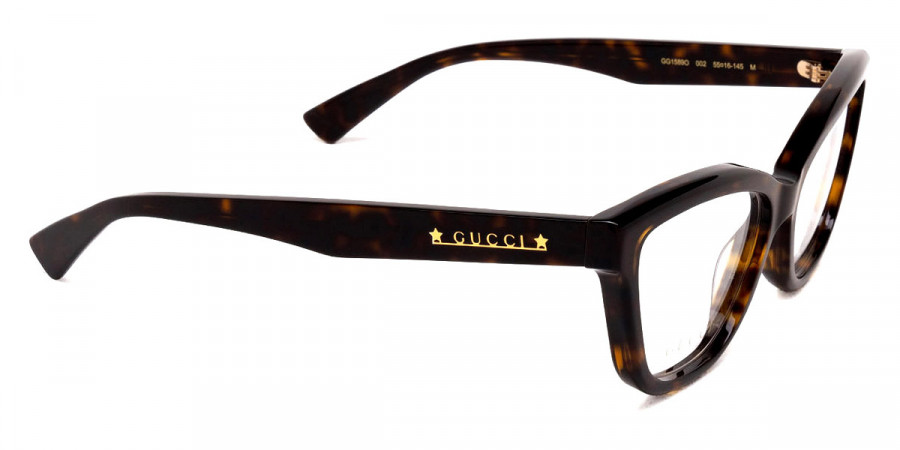 Color: Havana (002) - Gucci GG1589O00255