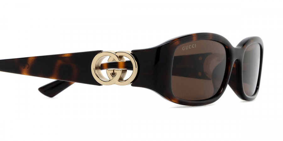 Color: Havana (002) - Gucci GG1661S00254