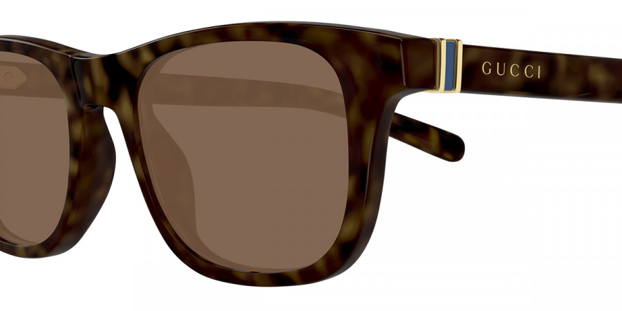 Color: Havana (006) - Gucci GG1671S00653