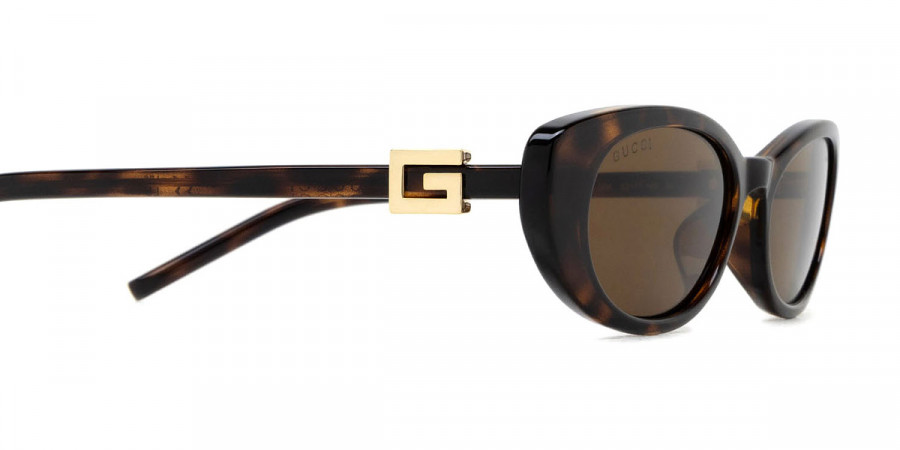 Color: Havana (004) - Gucci GG1680S00452