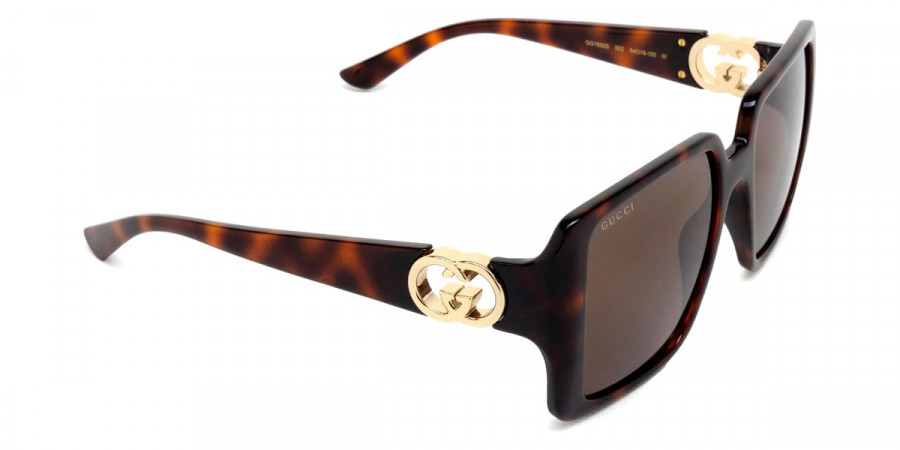 Color: Havana (002) - Gucci GG1692S00254