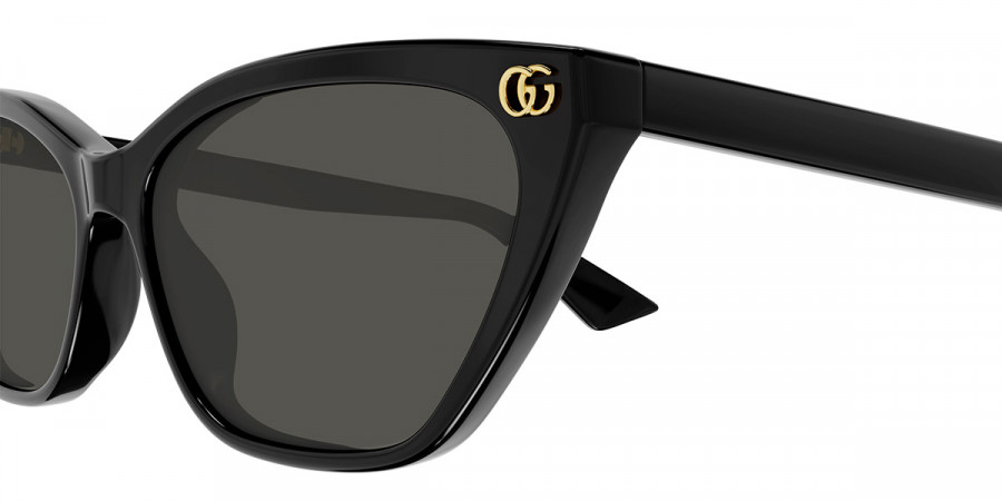 Gucci™ - GG1815S