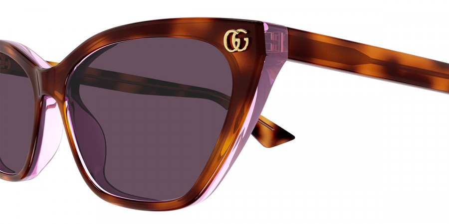 Color: Havana (004) - Gucci GG1815S00458