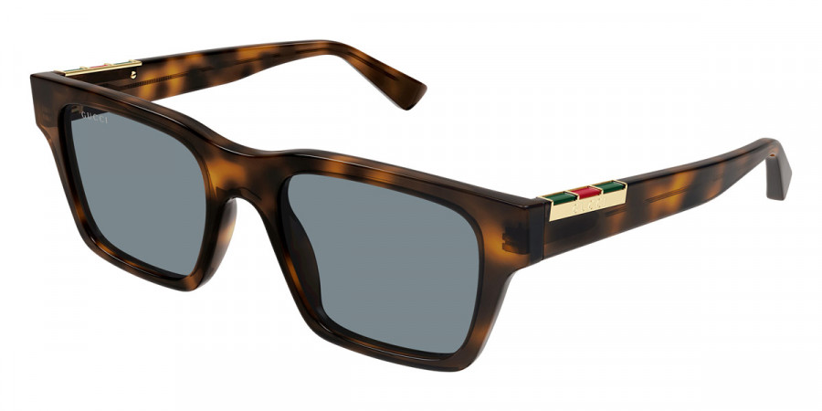 Color: Havana (004) - Gucci GG1889S00451