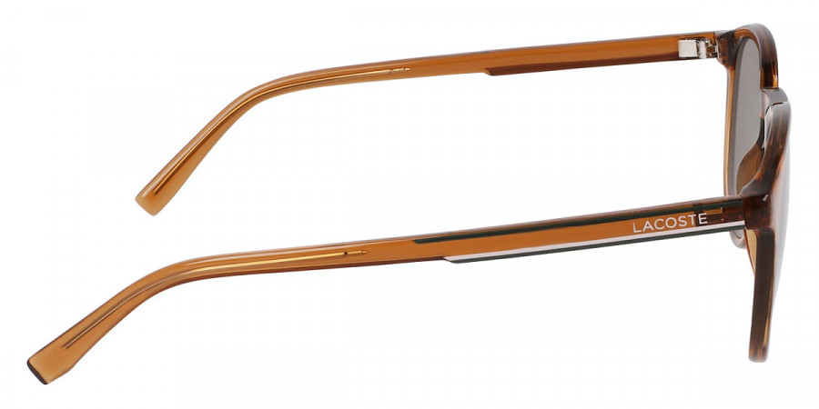 Color: Transparent Brown (210) - Lacoste LACL916S21050