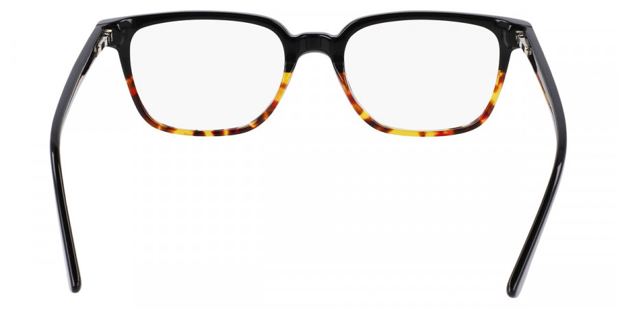 Color: Black Tortoise (006) - Lenton and Rusby LRBLR450300652