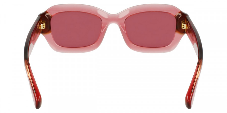 Color: Transparent Rose/Rose Havana (613) - Longchamp LONLO749S61350