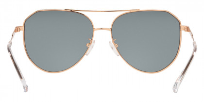 Michael Kors™ Cheyenne MK1109 Sunglasses for Women 