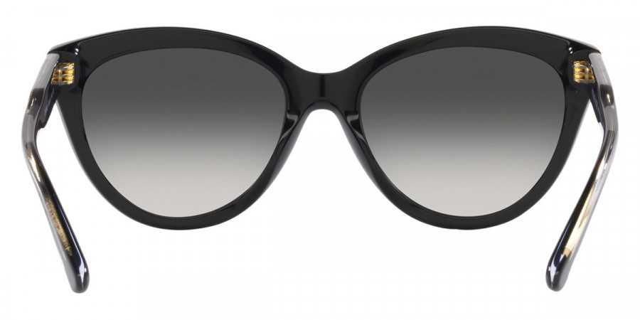 Color: Black/Clear Laminate (30058G) - Michael Kors MK215830058G55