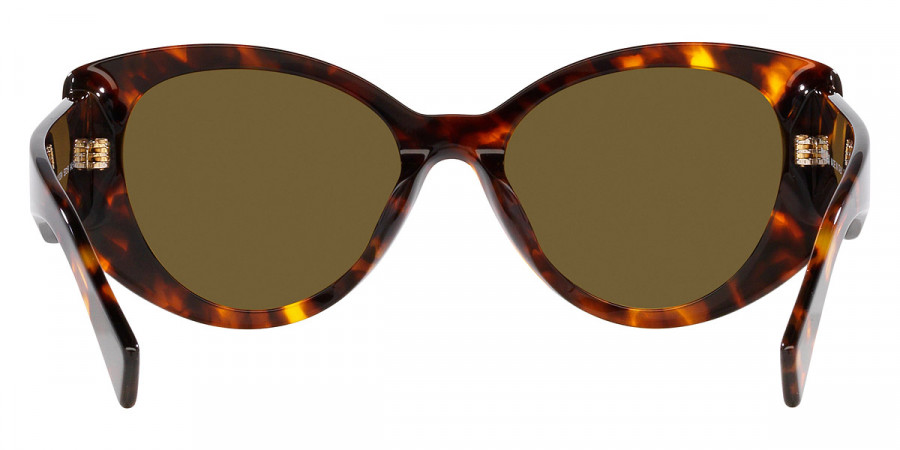 Color: Havana Honey (VAU01T) - Miu Miu MU03WSVAU01T53