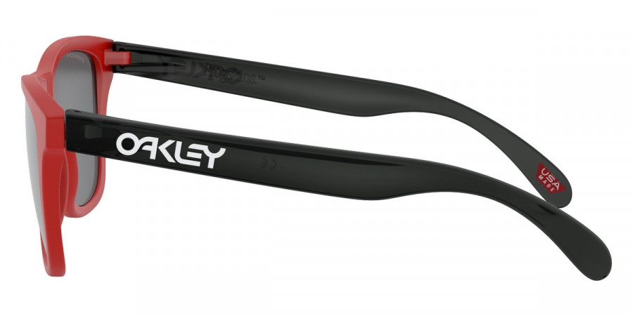 Oakley™ - Frogskins OO9013