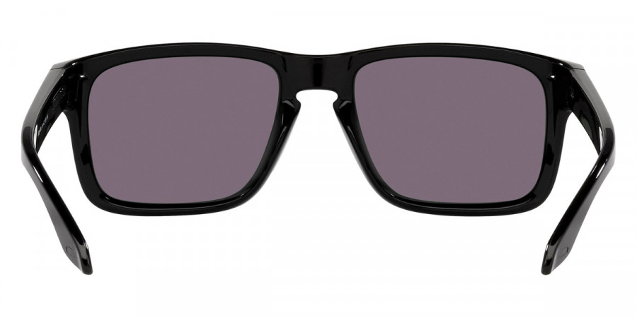 Oakley™ - Holbrook (A) OO9244