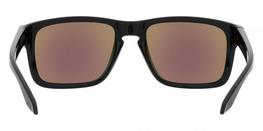 Oakley™ - Holbrook (A) OO9244