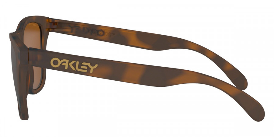 Oakley™ - Frogskins (A) OO9245